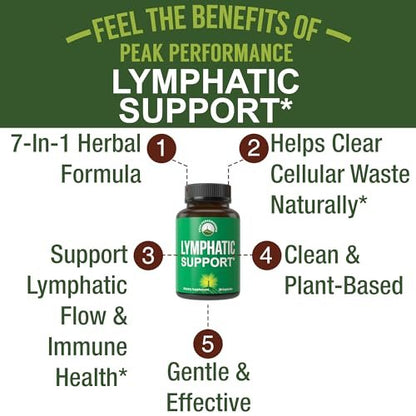 Lymphdrainage-Kapseln – 7-in-1 Lymphsystem-Unterstützung mit veganen Inhaltsstoffen (Echinacea, Rotklee, Klettenwurzel, Rote Wurzel, Süßholzwurzel) für Frauen und Männer – 30 Kapseln
