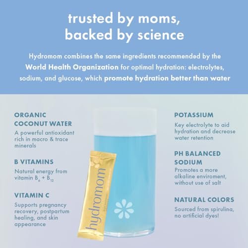 Boobie Hydromom Superfood Electrolyte Drink Mix, Blaubeer-Zitronen-Limonade | Erfrischender Energie- und Hydratations-Boost für Mamas | Für Schwangerschaft, Stillzeit & darüber hinaus, 10 Portionsbeutel