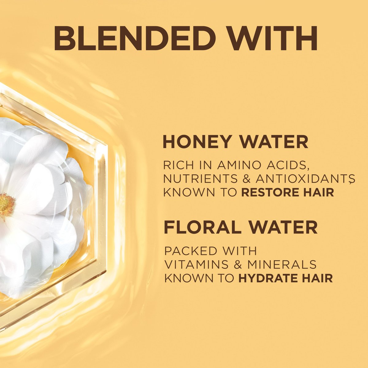 Garnier Whole Blends Honigwassercreme – 100 Stunden Feuchtigkeitssperre für trockenes Haar und Kopfhaut, Honignektar und Blütenwasser, Packung mit 2 Flaschen (je 150 ml)