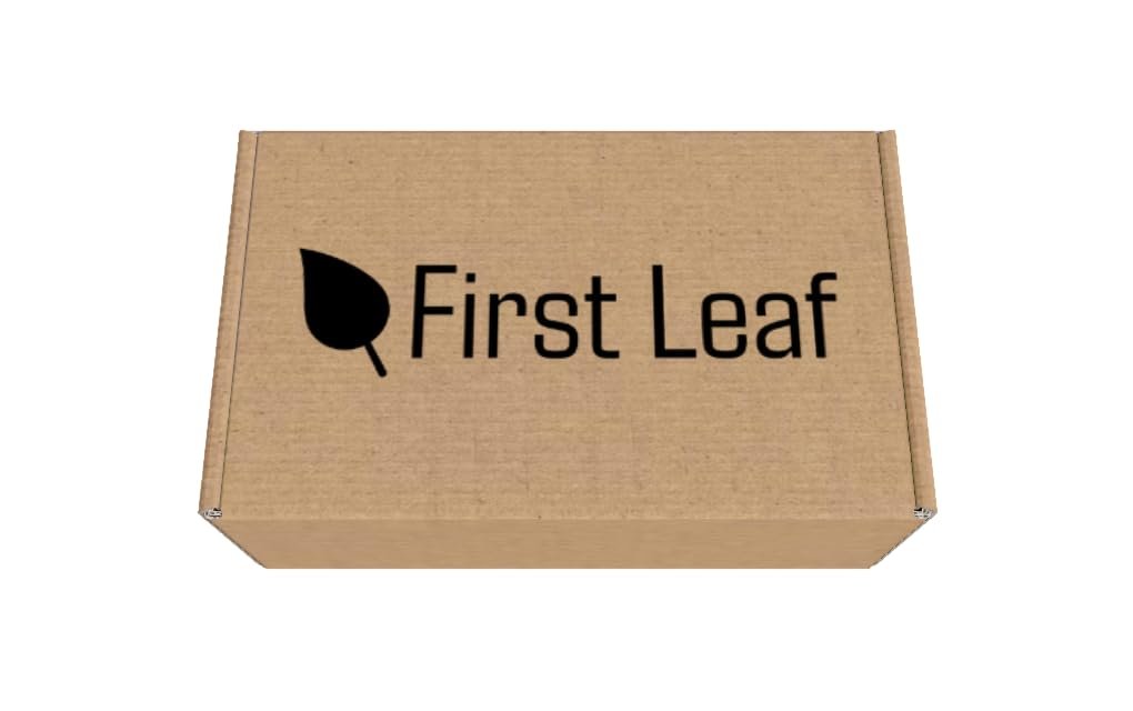 First Leaf G Zero Pulverpackungen mit Elektrolyten, Vitaminen und ohne Zucker, 20 Stück (2er-Pack) (20 Packungen, Gletscherfrost)