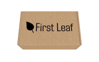 First Leaf G Zero Pulverbeutel mit Elektrolyten, Vitaminen und ohne Zucker, 20 Stück (2er-Pack) (20 Beutel, Orange)