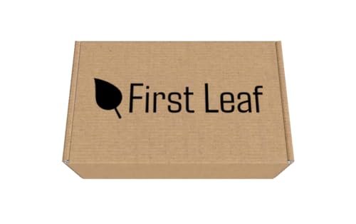 First Leaf G Zero Pulverpackungen mit Elektrolyten, Vitaminen und ohne Zucker, 20 Stück (2er-Pack) (20 Packungen, Gletscherfrost)