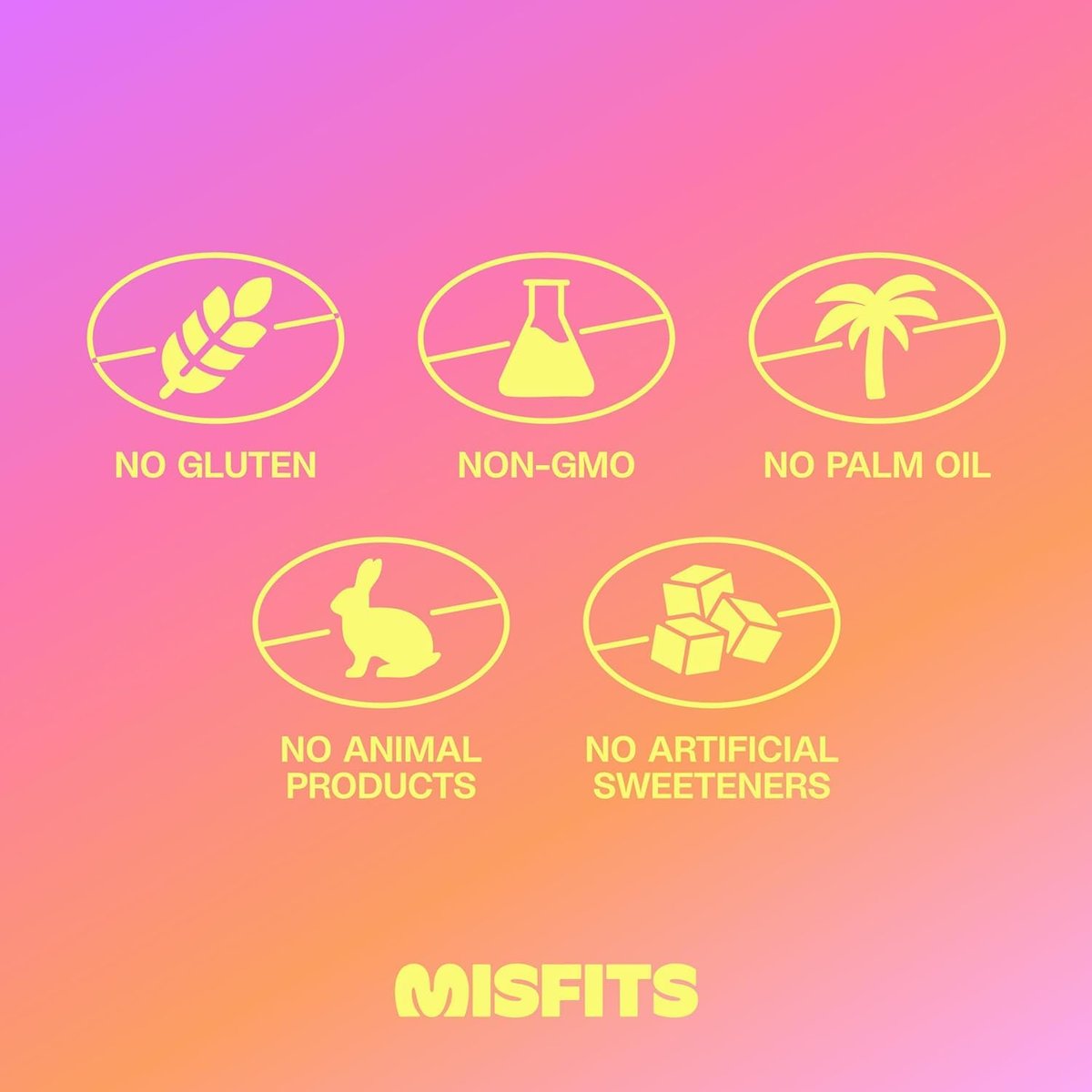 Misfits Protein Bar Variety Pack | 14-15g Protein, 1g Zucker, pflanzlich, Low Carb, glutenfrei – Probierpaket mit 5 Riegeln in verschiedenen Geschmacksrichtungen