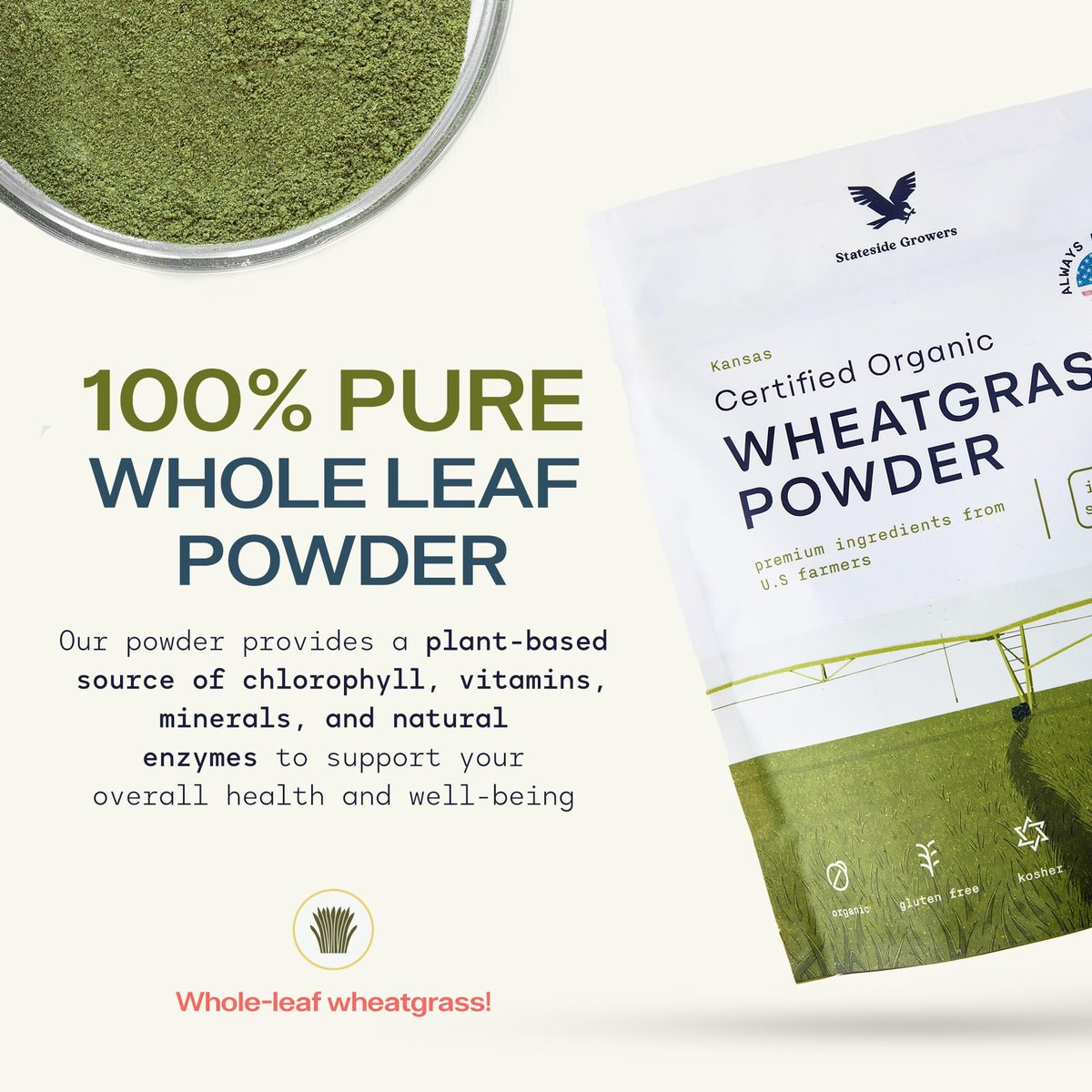 Stateside Growers Bio Weizengraspulver – 100 % Vollblattpulver für Energie, Entgiftung & Immununterstützung – Reich an Immunvitaminen, Ballaststoffen und Mineralien – Vegan, Roh & Glutenfrei (227 g)