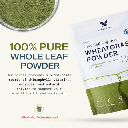 Stateside Growers Bio Weizengraspulver – 100 % Vollblattpulver für Energie, Entgiftung & Immununterstützung – Reich an Immunvitaminen, Ballaststoffen und Mineralien – Vegan, Roh & Glutenfrei (227 g)
