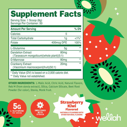 Wellah L-Glutamin Pulver Erdbeer-Kiwi (50 Portionen) - 5g L-Glutamin pro Portion, mit Stevia gesüßt