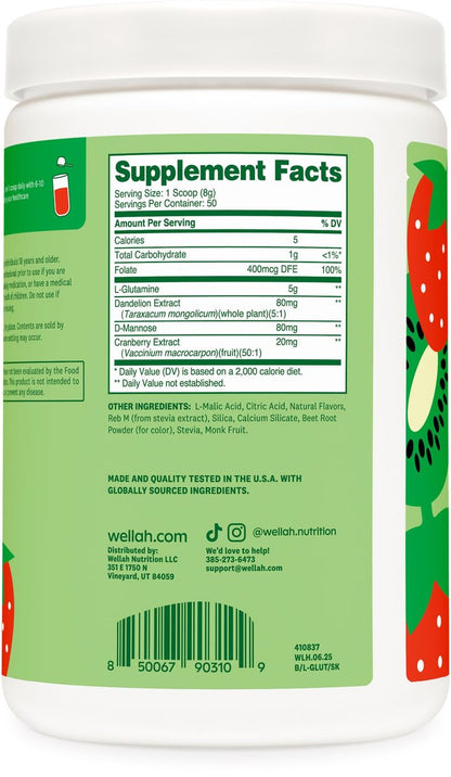 Wellah L-Glutamin Pulver Erdbeer-Kiwi (50 Portionen) - 5g L-Glutamin pro Portion, mit Stevia gesüßt
