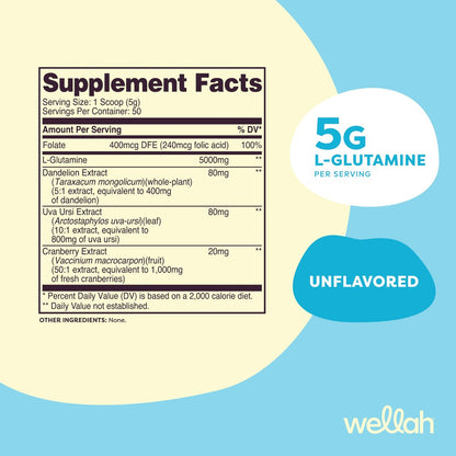 Wellah L-Glutamin Pulver Ungeschmackvoll (50 Portionen) - 5 g L-Glutamin pro Portion, mit Stevia gesüßt
