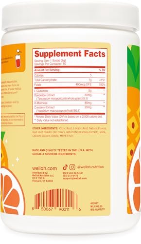 Wellah L-Glutamin Pulver Tropical Punch (50 Portionen) - 5g L-Glutamin pro Portion, gesüßt mit Stevia