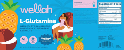 Wellah L-Glutamin Pulver Blue Hawaii (50 Portionen) - 5g L-Glutamin pro Portion, mit Stevia gesüßt