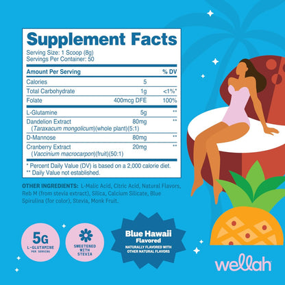 Wellah L-Glutamin Pulver Blue Hawaii (50 Portionen) - 5g L-Glutamin pro Portion, mit Stevia gesüßt