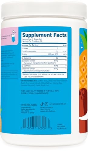 Wellah L-Glutamin Pulver Blue Hawaii (50 Portionen) - 5g L-Glutamin pro Portion, mit Stevia gesüßt