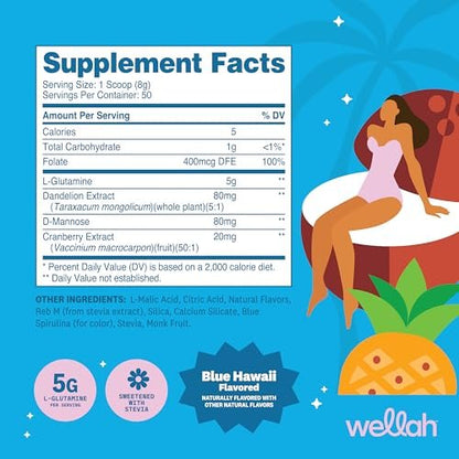 Wellah L-Glutamin Pulver Blue Hawaii (50 Portionen) - 5g L-Glutamin pro Portion, mit Stevia gesüßt
