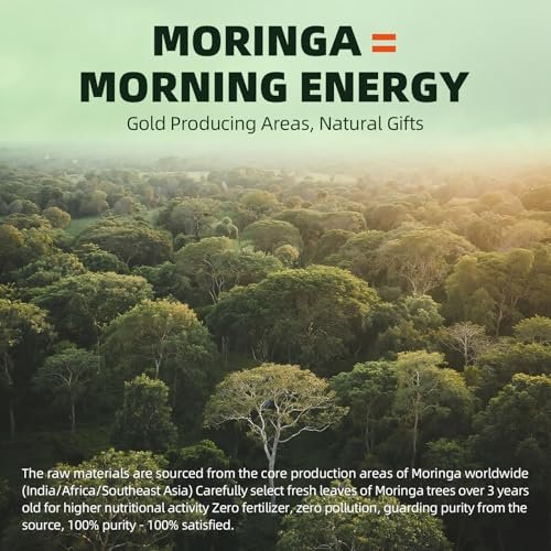 GREENPEOPLE Moringa-Ganzblattkapseln 1500mg - Hochdosiert 10:1 Moringa Oleifera Blattextrakt - Natürliches Superfood für Energie & Immunsystem - Vegan, Nicht-GVO, Koffeinfrei - 180 Kapseln