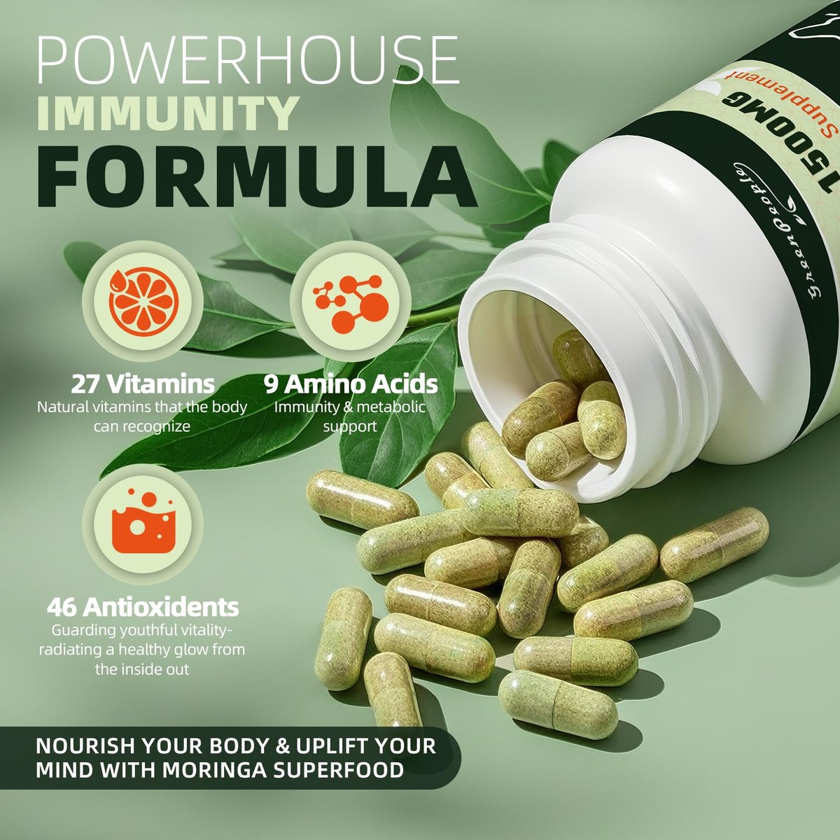 GREENPEOPLE Moringa-Ganzblattkapseln 1500mg - Hochdosiert 10:1 Moringa Oleifera Blattextrakt - Natürliches Superfood für Energie & Immunsystem - Vegan, Nicht-GVO, Koffeinfrei - 180 Kapseln