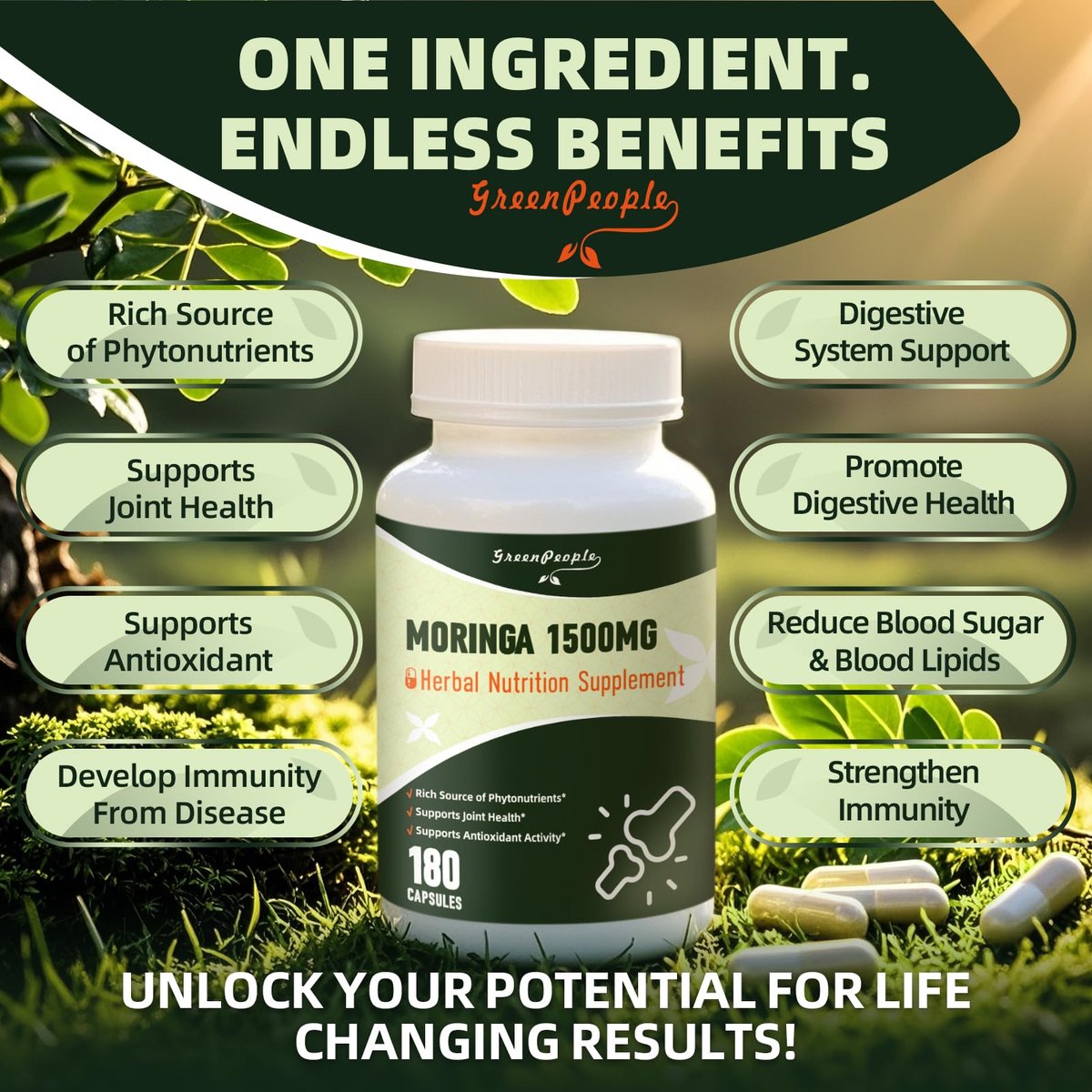 GREENPEOPLE Moringa-Ganzblattkapseln 1500mg - Hochdosiert 10:1 Moringa Oleifera Blattextrakt - Natürliches Superfood für Energie & Immunsystem - Vegan, Nicht-GVO, Koffeinfrei - 180 Kapseln