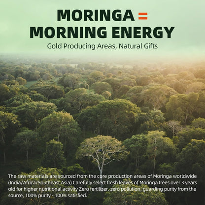 GREENPEOPLE Moringa-Ganzblattkapseln 1500mg - Hochdosiert 10:1 Moringa Oleifera Blattextrakt - Natürliches Superfood für Energie & Immunsystem - Vegan, Nicht-GVO, Koffeinfrei - 180 Kapseln