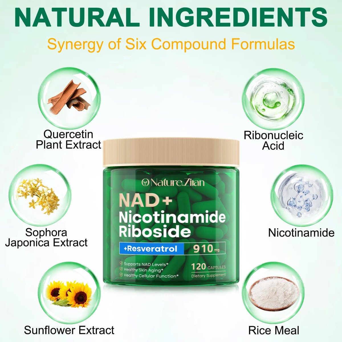 NAD+ Supplement - Nicotinamid-Ribosid 910 mg mit Resveratrol, liposomal, für Fokus & Energie, 120 Kapseln für Frauen und Männer