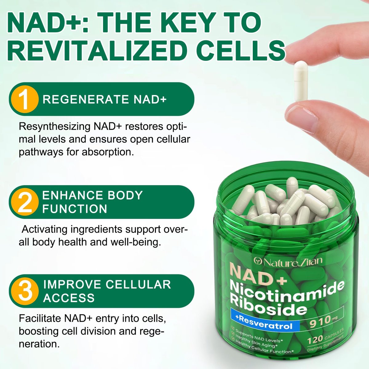 NAD+ Supplement - Nicotinamid-Ribosid 910 mg mit Resveratrol, liposomal, für Fokus & Energie, 120 Kapseln für Frauen und Männer