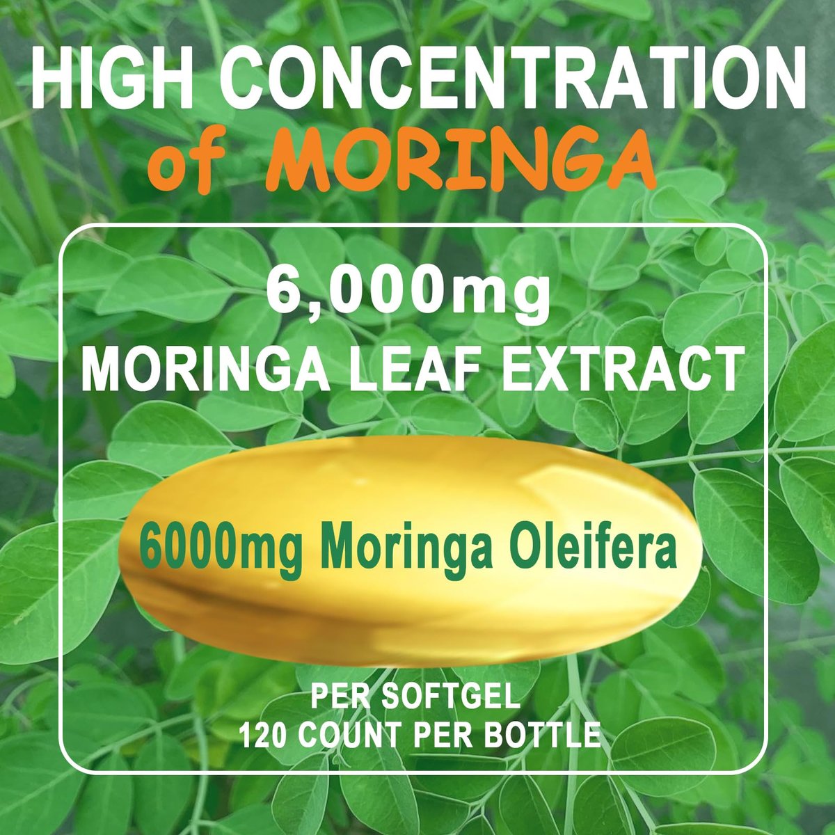 Moringa Softgels, Bio reines Moringa Oleifera Blattextrakt für Energie, Haut, Darmgesundheit, Immunsystem, natürliches Antioxidans, hochwirksames Moringa-Öl, Non-GMO, 60 Portionen