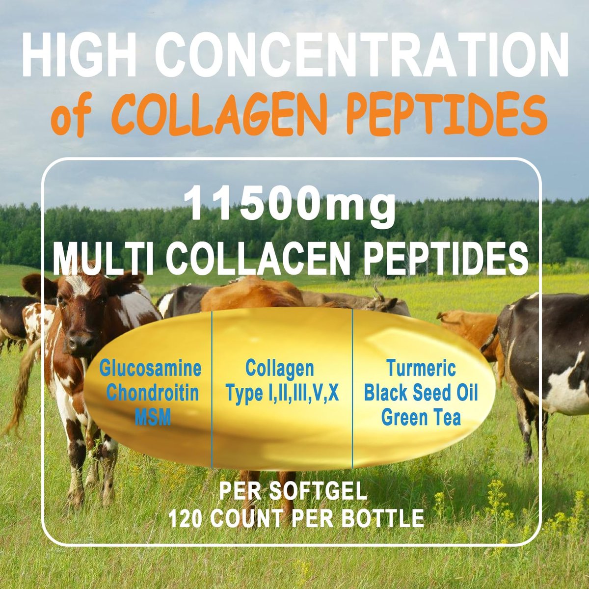 Kollagen-Peptide Weichkapseln, Multi-Kollagen-Peptid mit Glucosamin Chondroitin MSM Biotin, hydrolysiertes Kollagen-Peptid-Komplex für Frauen, unterstützt Haut, Haare, Nägel, Gelenke, Knochen, Darmgesundheit, Nicht-GMO, 120 Kapseln