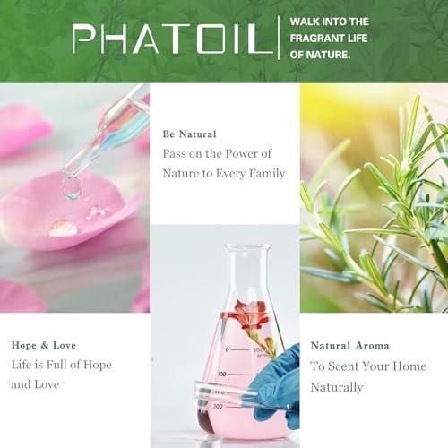 PHATOIL Reines Eukalyptusöl, 100% reines therapeutisches Premiumöl für Haarpflege, Haut, Aromatherapie, 100 ml