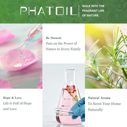 PHATOIL Reines Eukalyptusöl, 100% reines therapeutisches Premiumöl für Haarpflege, Haut, Aromatherapie, 100 ml