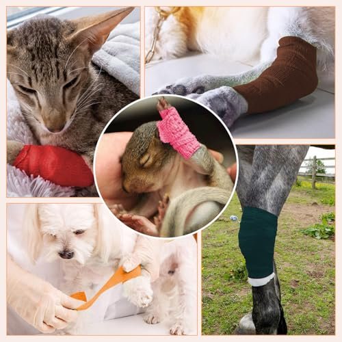 BIRDDIE Selbstklebende Bandagen 1/2/3 Zoll, 9er-Pack bunte Kohäsivbinden für Wunden, Tierverband, Knöchelbandage, Tattoo-Abdeckung, medizinisches Tape, Sporttape