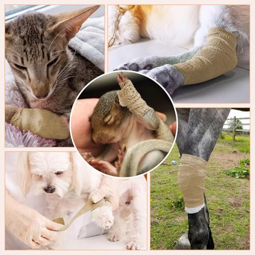 BIRDDIE 1"/2"/3" Selbstklebende Bandagen, 9er-Pack hautfarbene Verbandswickel für Wunden, Tierverband, Knöchelband, Tattoo-Abdeckung, medizinisches Tape, farbiges Sporttape