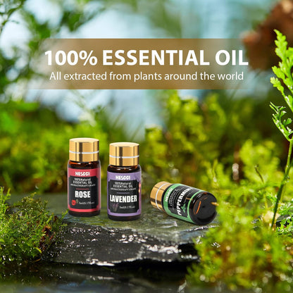 NESCCI Essential Oil Set – 36 x 5 ml Ätherische Öle für Diffuser, Seife, Kerzen, Badebomben – Geschenkset Weihnachten Halloween
