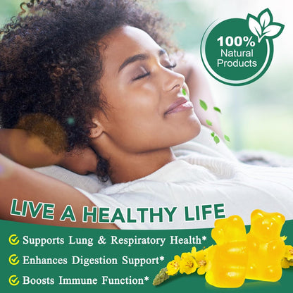 Mullein Gummies für Lungendetox – 2000 mg Mulleinblattextrakt für Atemwegs-, Verdauungs- und Immununterstützung – Bio-Mullein-Kräuterergänzung zur Schleimlösung – Vegan, 60 Gummibärchen