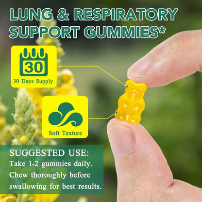 Mullein Gummies für Lungendetox – 2000 mg Mulleinblattextrakt für Atemwegs-, Verdauungs- und Immununterstützung – Bio-Mullein-Kräuterergänzung zur Schleimlösung – Vegan, 60 Gummibärchen