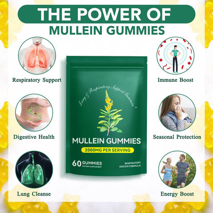 Mullein Gummies für Lungendetox – 2000 mg Mulleinblattextrakt für Atemwegs-, Verdauungs- und Immununterstützung – Bio-Mullein-Kräuterergänzung zur Schleimlösung – Vegan, 60 Gummibärchen