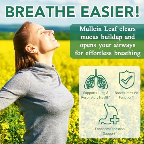 Mullein Gummies für Lungendetox – 2000 mg Mulleinblattextrakt für Atemwegs-, Verdauungs- und Immununterstützung – Bio-Mullein-Kräuterergänzung zur Schleimlösung – Vegan, 60 Gummibärchen