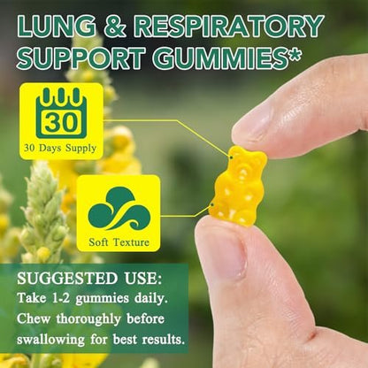 NIFEISHI Mullein Gummis für die Lunge, 2000mg Mullein Blattextrakt für Atemwegs-, Verdauungs- und Immununterstützung, natürliches Kräuterergänzungsmittel, Birnengeschmack, 60 Gummis