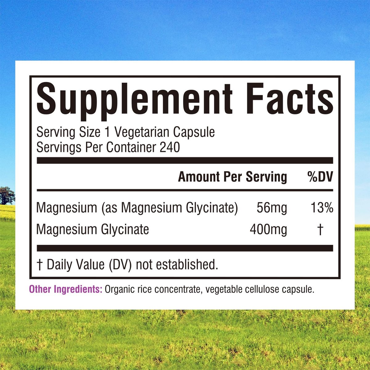 Innate Vitality Magnesium Glycinat 400mg – Hochdosiert, nicht gepuffert, für Schlaf, Entspannung, Herz- und Knochengesundheit – 240 vegane Kapseln für Männer und Frauen