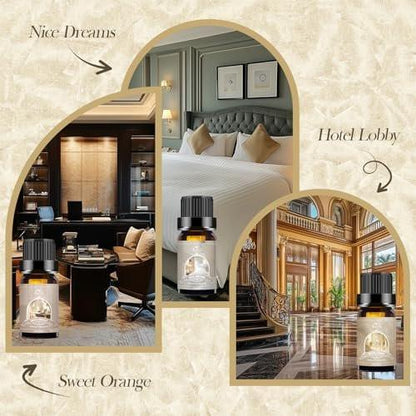 Auelife Hotel Collection Diffuser Öl Set – 6x10ml Luxuriöse Hotelduft Essentielle Öle für Diffuser – Duftöl Sortiment – Ideal für Zuhause, Spa, DIY Kerzenherstellung Geschenk