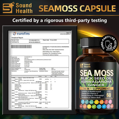 Irish Sea Moss & Shilajit Bundle – Natürliche Energie, Schlafunterstützung & Haarwachstum mit Schwarzkümmelöl, Ashwagandha, Ingwer, Rhodiola Rosea, Vitamin C & D für Männer und Frauen – All-in-1 Nahrungsergänzungsmittel