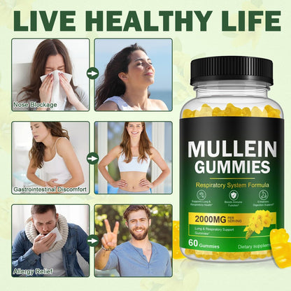 Ruduwu Mullein Gummies für Lung Detox – 2000mg Mulleinblattextrakt für Atemwegs-, Verdauungs- und Immununterstützung mit Quercetin, Bromelain, Holunder & Eibisch – Vegan, 60 Gummis