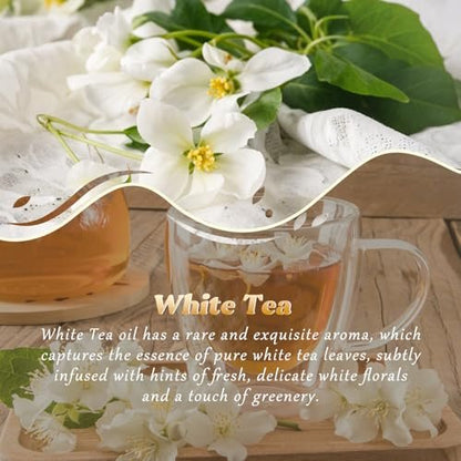 Weißer Tee Ätherisches Öl 4 Fl Oz (120ml) - Reines und natürliches Duftöl, Weißer Tee Öl für Diffusoren, Kerzenherstellung, Raumspray-Diffusoröl für Zuhause, Aromatherapie-Duftöl Geschenk für Frauen