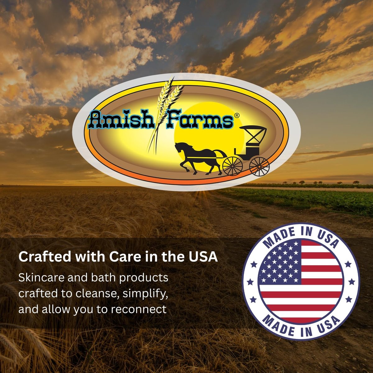 Amish Farms NatureClean Duftfreie Seife 5 oz Riegel (5er-Pack) mit Bentonit-Ton, Kokosöl und Sheabutter, für Frauen, Männer, Feuchtigkeitsspendend für empfindliche Haut, Körper, Gesicht, Hände, Hergestellt in den USA
