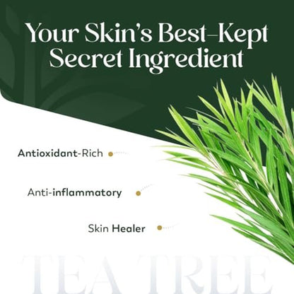HerbsIndia Teebaumöl für die Haut - 100 ml - 100% rein, unverdünnt, Premium-Qualität mit Glaspipette, Non-GMO