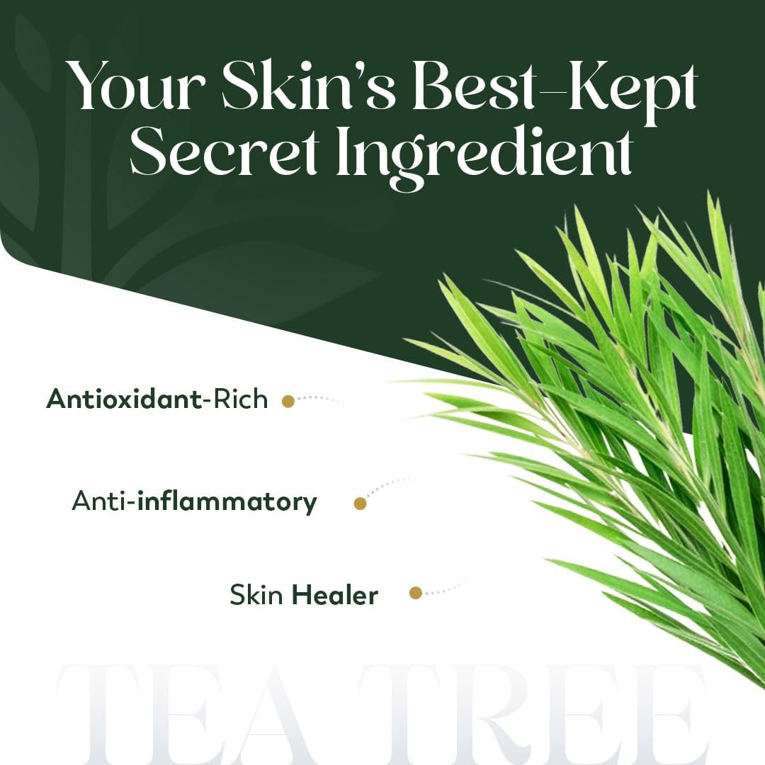 HerbsIndia Teebaumöl für die Haut - 100 ml - 100% rein, unverdünnt, Premium-Qualität mit Glaspipette, Non-GMO