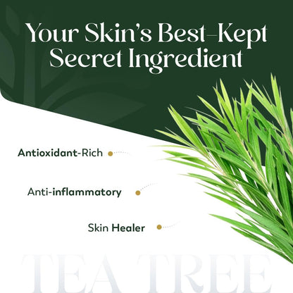HerbsIndia Teebaumöl für die Haut - 100 ml - 100% rein, unverdünnt, Premium-Qualität mit Glaspipette, Non-GMO