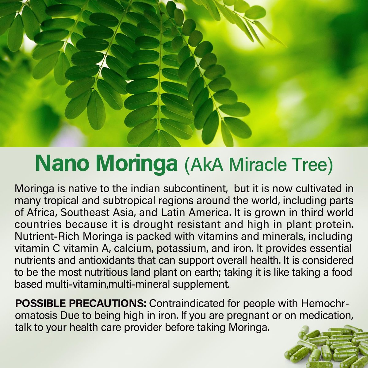 Moringa Kapseln | 800 mg reines Moringa-Pulver – Unterstützt Energie, Haut- und Darmgesundheit, Immunsystem – Grünes Superfood mit Vitaminen & Aminosäuren (90 Kapseln)