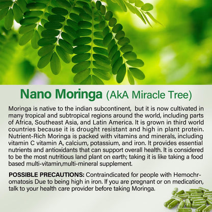 Moringa Kapseln | 800 mg reines Moringa-Pulver – Unterstützt Energie, Haut- und Darmgesundheit, Immunsystem – Grünes Superfood mit Vitaminen & Aminosäuren (90 Kapseln)