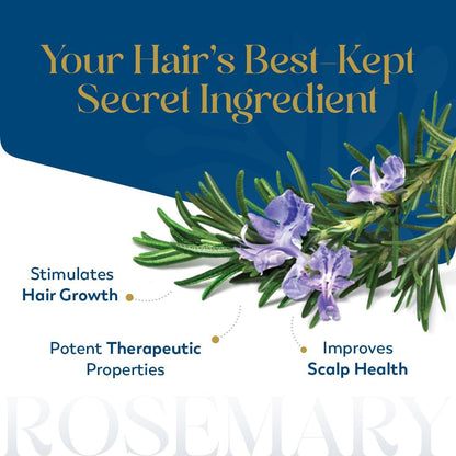 Herbsindia Rosmarinöl für Haare - Riesige 100 ml - 100% rein - Premiumqualität mit Glaspipette, unverdünnt, nicht gentechnisch verändert