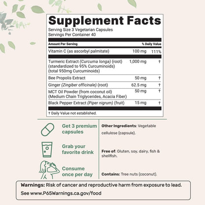 Micro Ingredients Reines Curcumin-Pulver 1.000 mg – 95 % Curcuminoide mit schwarzem Pfeffer & Ingwer – Hoch absorbierbar für Gelenk- & Antioxidans-Unterstützung* – Füllstofffrei, 120 vegane Kapseln
