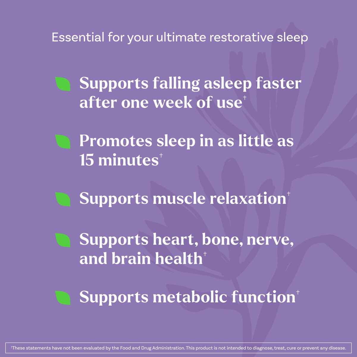 Natrol Sleep + Restore Magnesium Glycinat Gummis mit Melatonin 5mg – Ruhiger Schlaf mit Magnesium, GABA, botanischer Mischung, Kirsche, 60 Stück