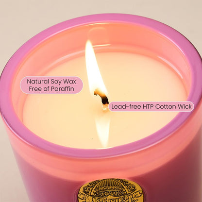 M&SENSE Peony Blush Duftkerze | 9,2 oz Sojawachs-Kerze, ungiftig, Aromatherapie für Stressabbau & Home Spa